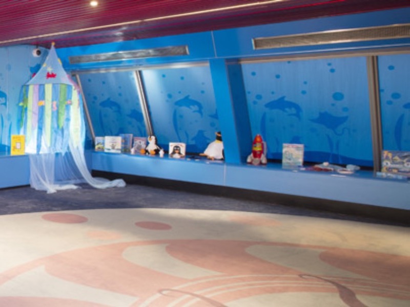 Croisière CCL Carnival Sunrise Camp Ocean