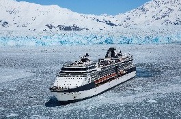 Celebrity Millennium