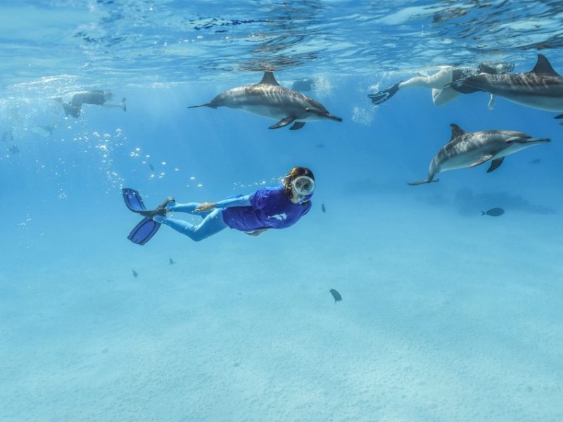 MSC Explora II Conservatoire