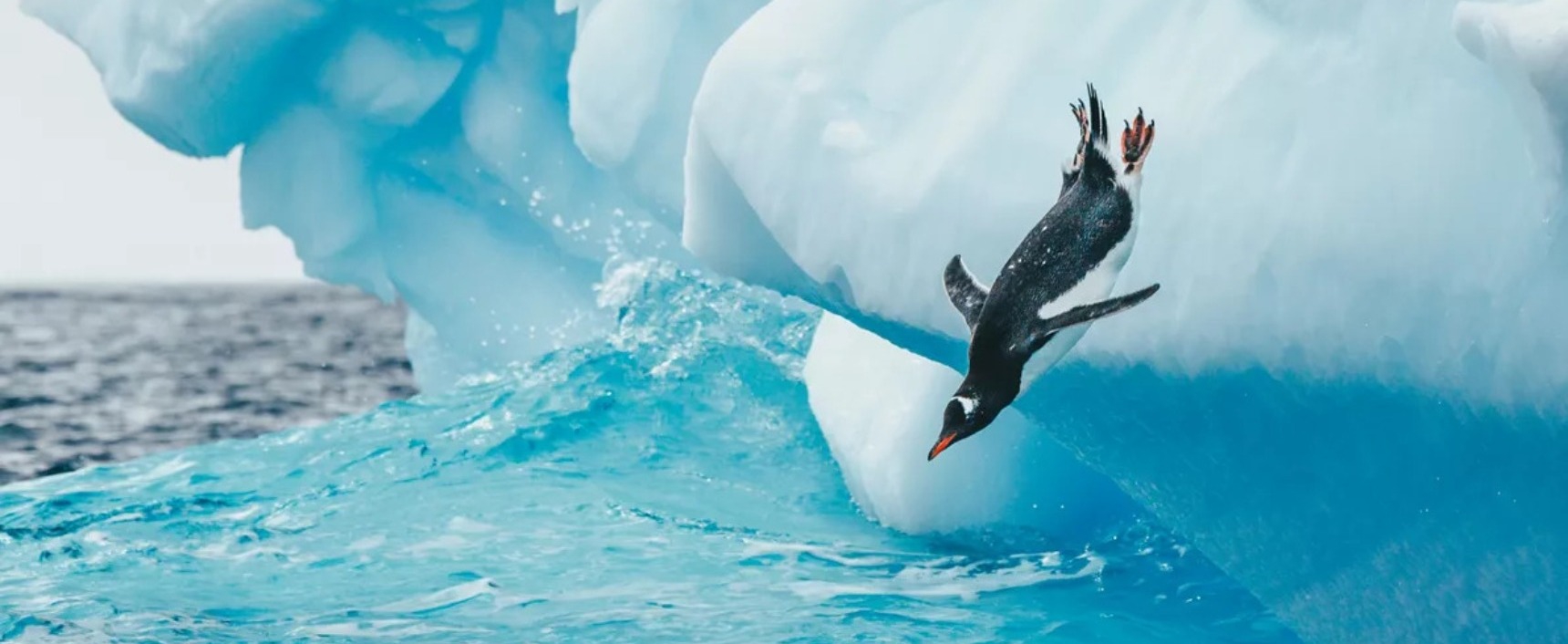 MSC Explora II Durabilité