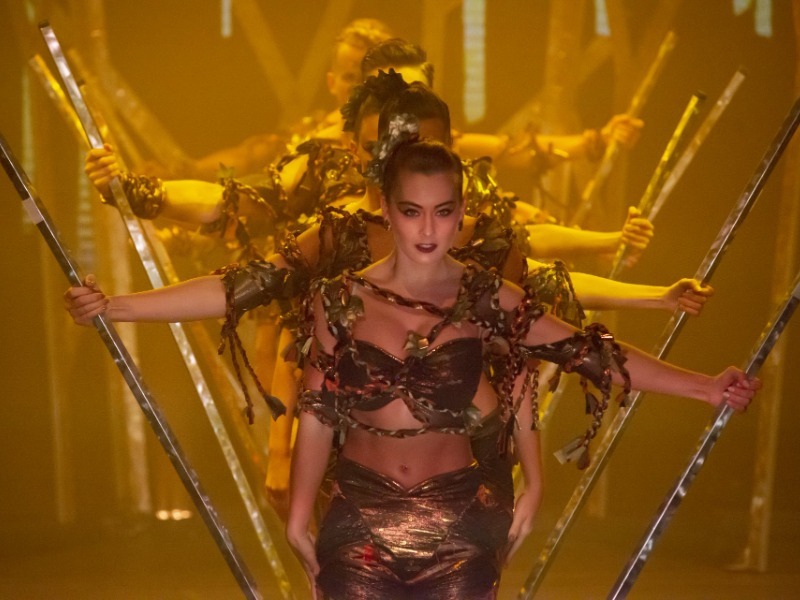 Norwegian Dawn Elements